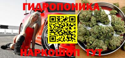 a pvp Бугуруслан
