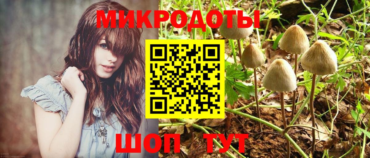 Галлюциногенные грибы мухоморы  Вход с VPN  Ялта 